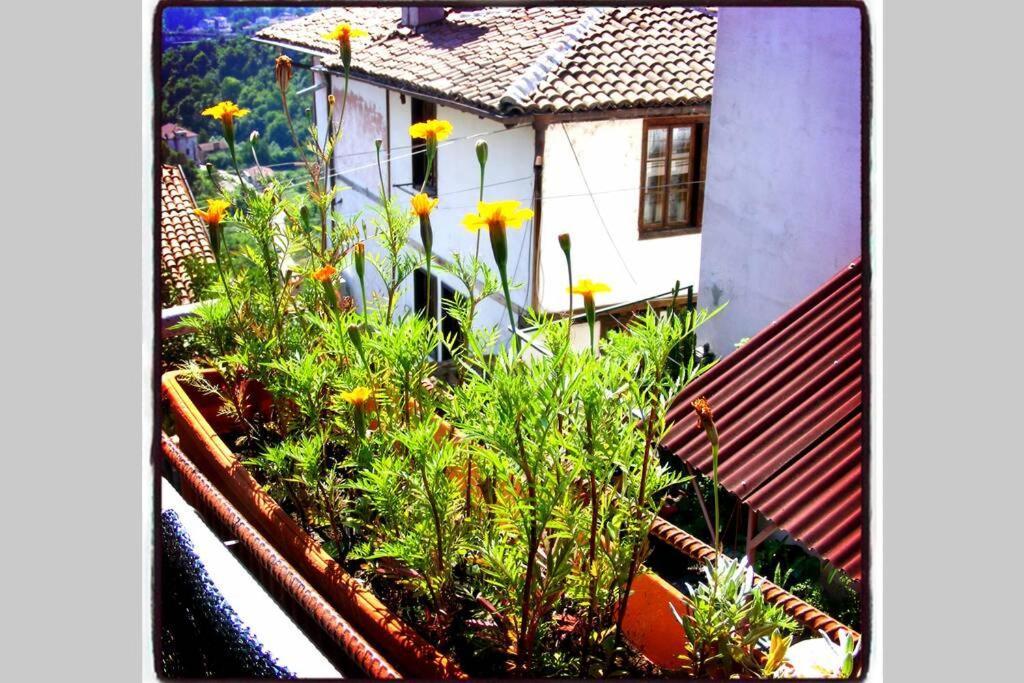 Authentic Guest Stay In The Heart Of Veliko Tarnovo Студио С Изглед Към Царевец Exterior foto
